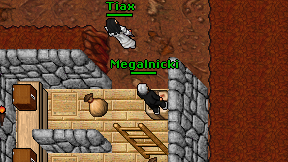 Megalnicki on screen