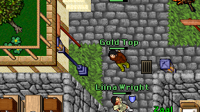 Gold Top on screen