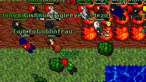 Goblinfrau on screen