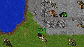 Wisli on screen