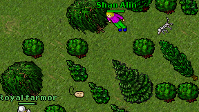 Shan Alin on screen