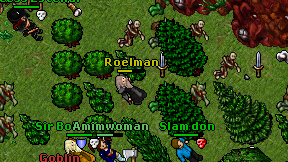 Roelman on screen