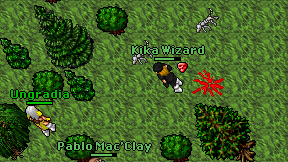 Kika Wizard on screen