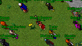 Black Dogyy on screen