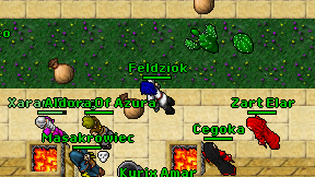 Feldziok on screen