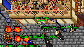 Dru Fang on screen