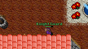 Knight Goard on screen