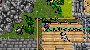 Knight Tiks on screen