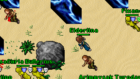 Elderlina on screen