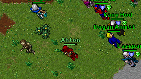 Ahton on screen