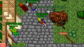 Regok on screen