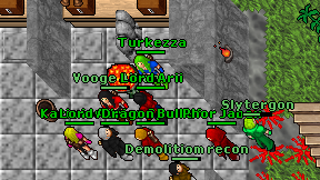Turkezza on screen