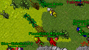 Tubaina'Mem on screen