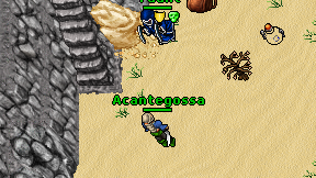 Acantegossa on screen