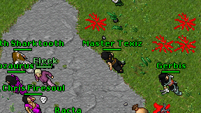 Master Texiz on screen