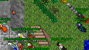Vohiwo on screen
