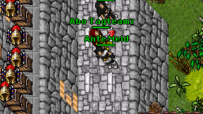 Ante Meld on screen