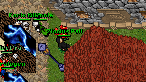Ziomus Pall on screen