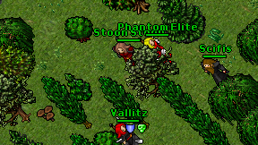 Stoon Stoon on screen
