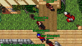 Senn Ka on screen