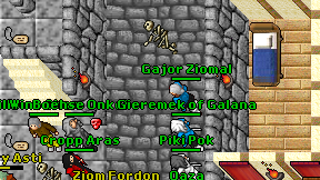 Gajor Ziomal on screen