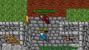 Kamo Druid on screen
