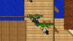 Draidon on screen