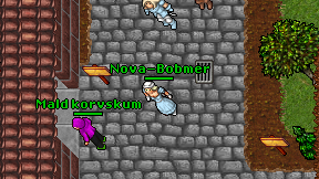 Nova-Bobmer on screen