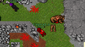 Capra Lo on screen