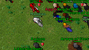 Maopao on screen