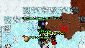 Undead Knight Totuc on screen