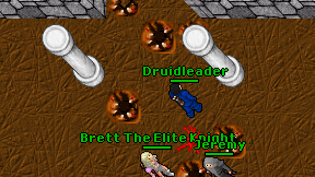 Druidleader on screen