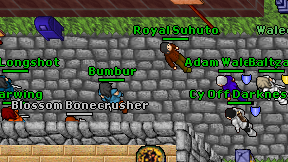 Bumbur on screen