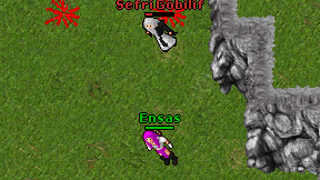 Ensas on screen