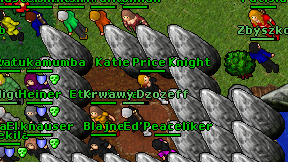 Katie Price Knight on screen