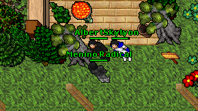 Menino Radical on screen