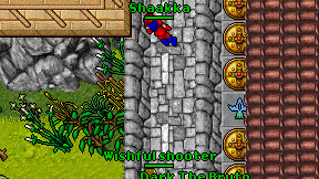 Shaakka on screen