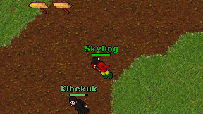 Skyling on screen