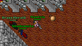 Maxtris on screen
