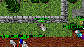 Nerana on screen