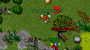 Dardo Metaro on screen