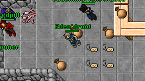 Eden'druid on screen
