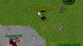 Kyll Darkness on screen