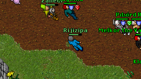 Rijizipa on screen