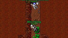Blizzking on screen