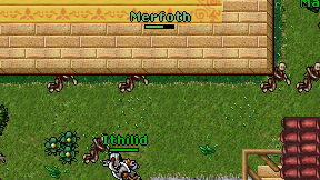 Merfoth on screen
