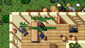 Milady Mery on screen
