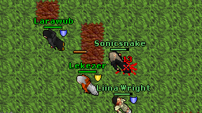 Sonicsnake on screen