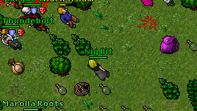 Nig Bit on screen