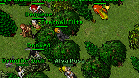 Eternall Elite on screen